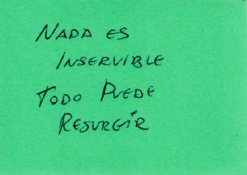 /images/IMG_84456975.jpg