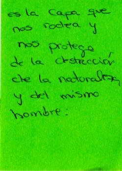 /images/IMG_84457332.jpg